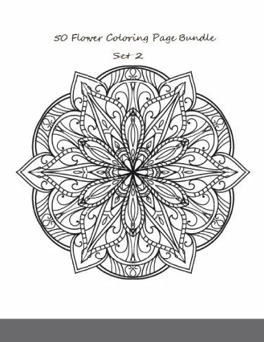 50 Easy Flower Coloring Book 2