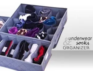 Anti-Bacteria Bamboo Charcoal Undergarment Organizer Set