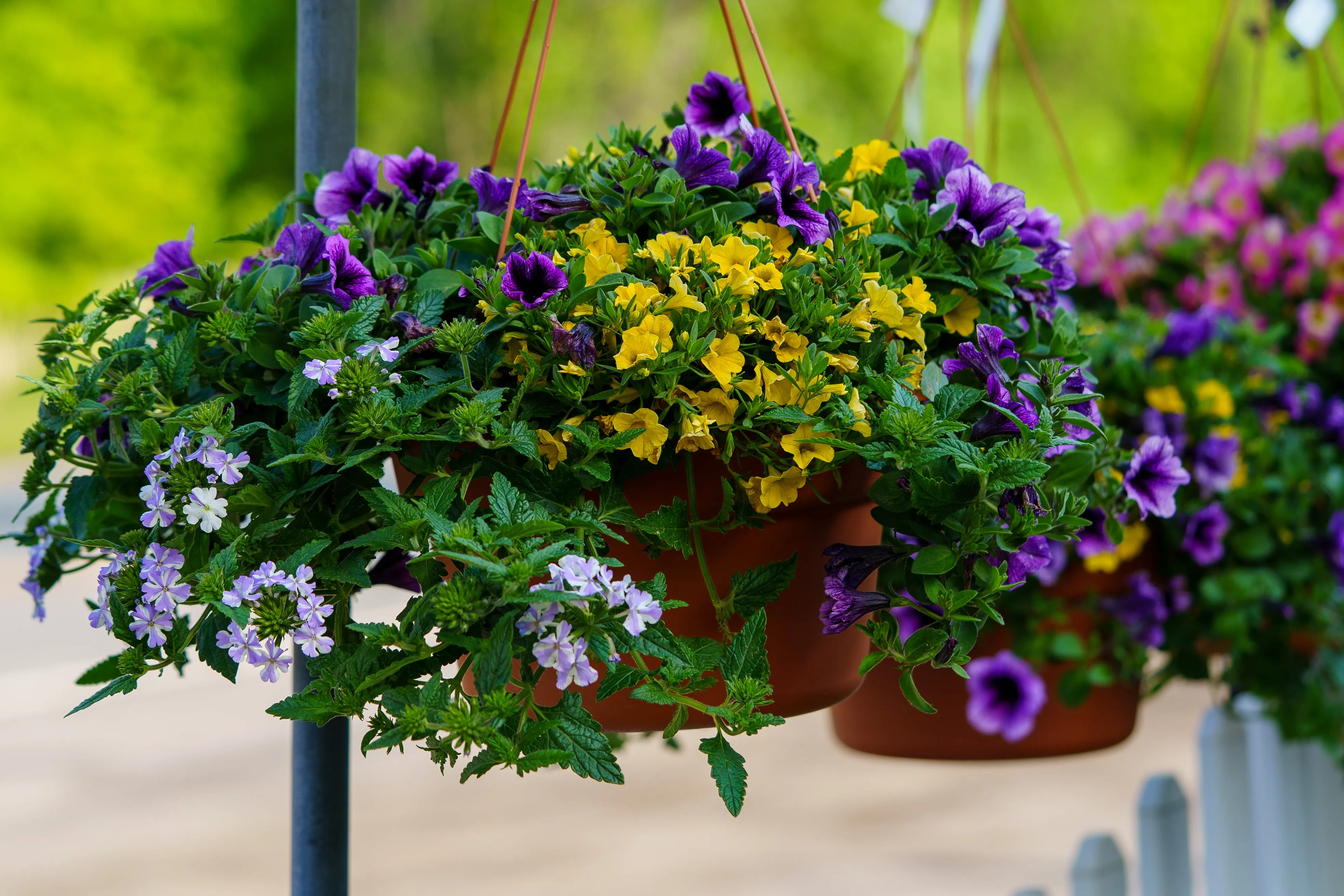 Combination Hanging Basket