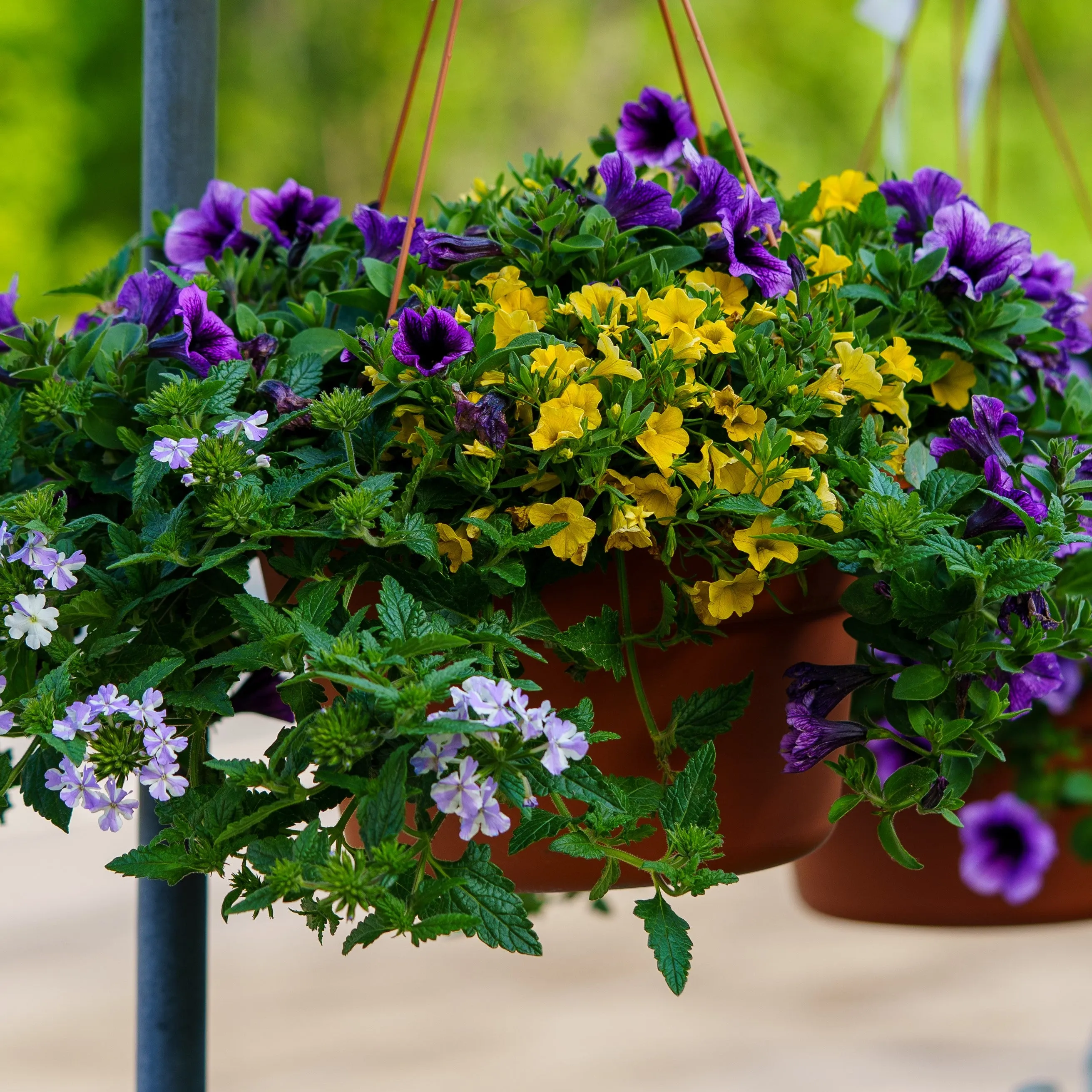 Combination Hanging Basket