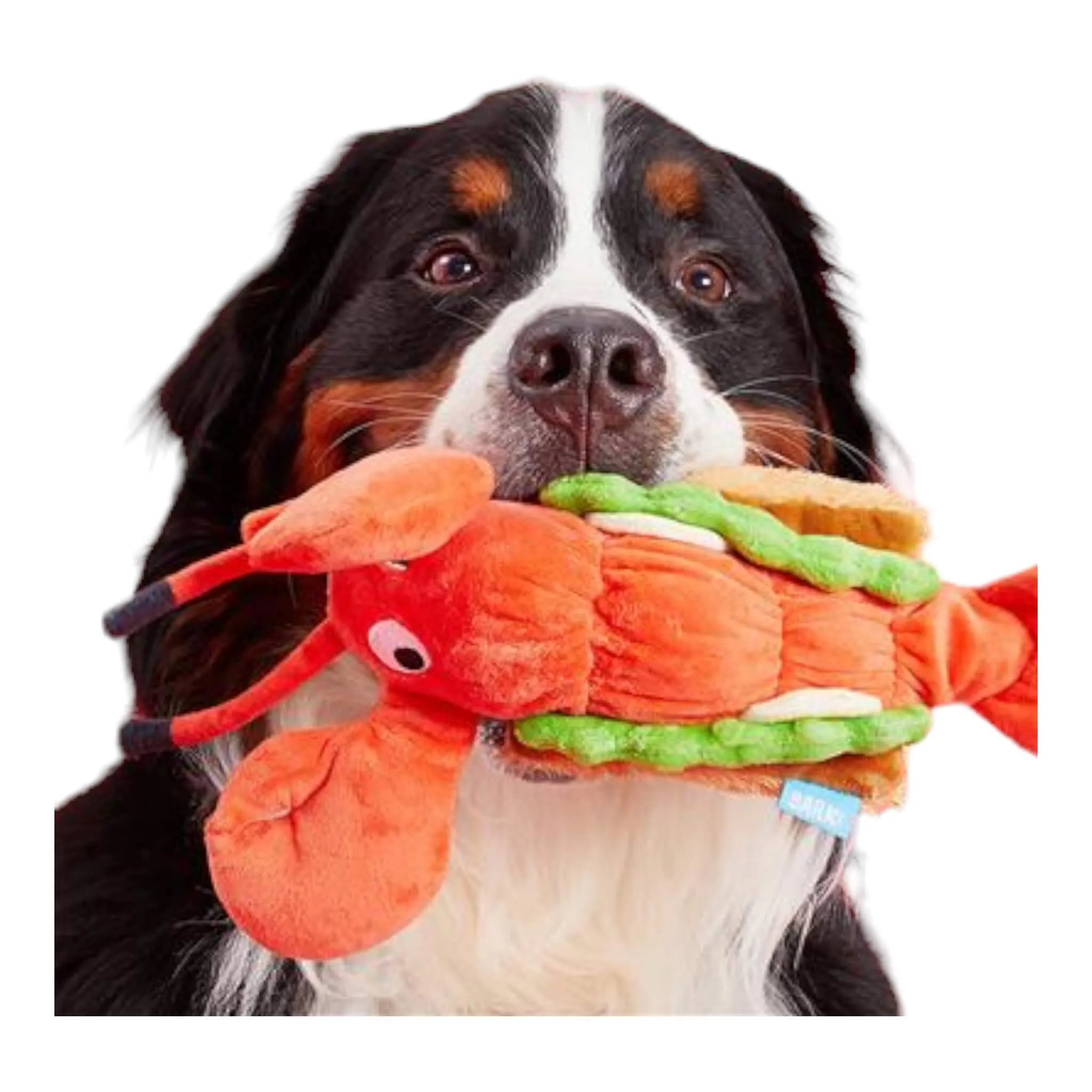 Max's Maine Lobster Roll Plush Dog Toy