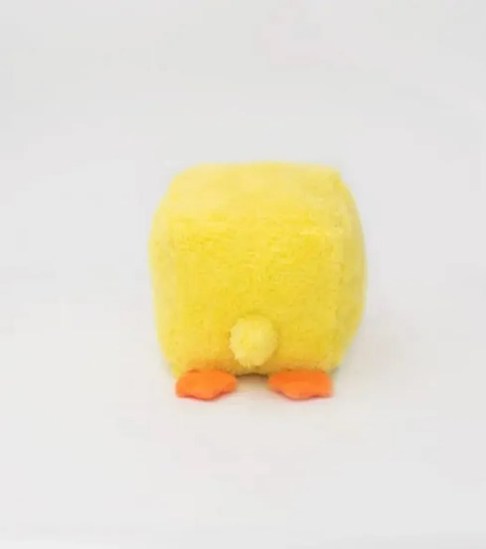 Squeakie Blocks - Duck